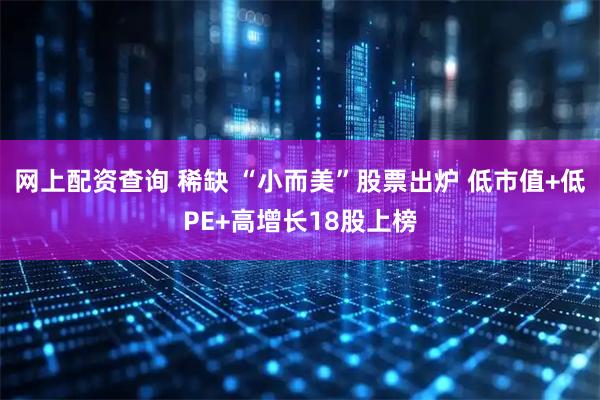 网上配资查询 稀缺 “小而美”股票出炉 低市值+低PE+高增长18股上榜
