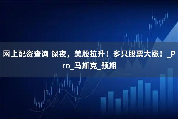 网上配资查询 深夜，美股拉升！多只股票大涨！_Pro_马斯克_预期