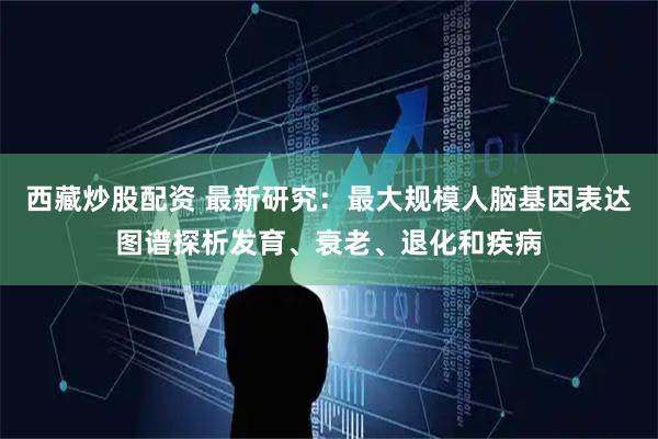 西藏炒股配资 最新研究:最大规模人脑基因表达图谱探析发育、衰老、退化和疾病
